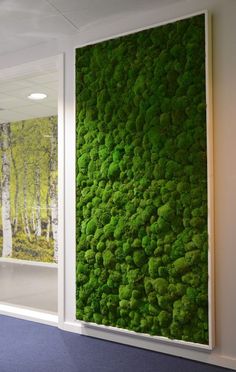 a green moss covered wall next to a window in an office building with blue carpet