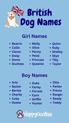 the british dog names are shown in blue and white, with an english flag on it