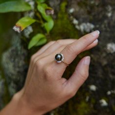 The Plumeria line is inspired by exotic Plumerias which are found blooming on every Hawaiian Island. Evoke the unique fragrance found in these beautiful blossoms and rediscover memories in Paradise with our Plumeria Collection. Ring 14k Yellow Gold 9-10mm Tahitian Pearl Natural Diamond: 0.385 CTW Exclusively Made in Hawaiʻi Forever Guarantee (Warranty on the life of the piece) Free Shipping on USA Orders $100 or more Due to their nature, no two pearls are alike. Pearls will vary in color, shape Tahitian Pearl Ring Unique, Tahitian Black Pearl Engagement Ring, Tahiti Pearl Ring, Black Pearl Rings Tahitian, Luxury Black Tahitian Pearl Jewelry, Black Pearl Ring, Jellyfish Design, Whale Design, Octopus Design