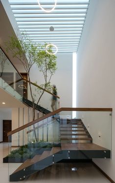 an indoor stair case with glass railings and trees in the center, along with two people walking up it