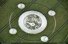 an aerial view of a crop circle in the middle of a field with four circles around it