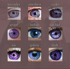 an image of different colored eyes with the words iris in each eyelide and their names