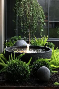 a water fountain surrounded by plants and rocks in front of a building with large windows