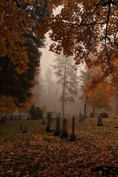 foggy graveyard with headstones in the foreground and autumn leaves on the ground