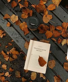 an open book sitting on top of a wooden bench next to leaves and a cup