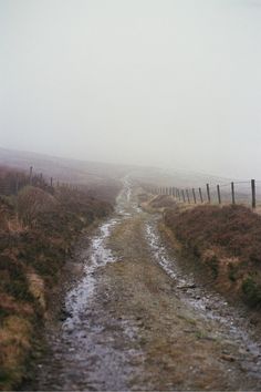 an empty dirt road in the middle of a foggy field with sheep grazing on it