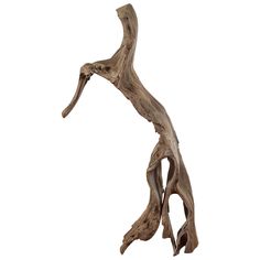 a piece of driftwood is shown against a white background, with the top part of it's branch exposed