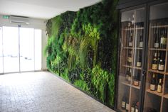 a wall covered in green plants and bottles