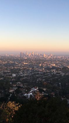 a view of the city skyline from atop a hill