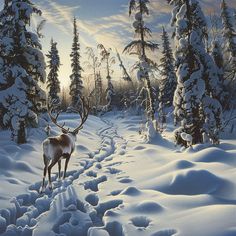 Woodland Caribou Endangered: Nature's Palette for Art & Design Touch Painting, Snow Trails, Buck Deer, Painting Snow, Snowy Forest, Sun Sets, Square Diamond, Art Textile, Pine Trees