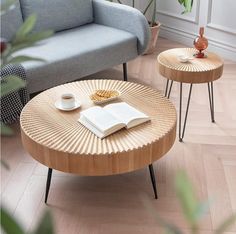 two coffee tables with books on them in front of a couch and potted plant