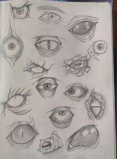 an open book with many different types of eyes