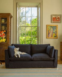 a white dog sitting on top of a black couch in front of a large window