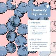 blueberry pup - slices are shown on a pink background with the words instructions below