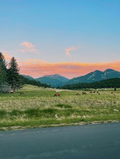 Mountains, wildlife, sunset, summer Estes Park, Colorado spring sunset, summer sunset, travel, elk, deer, nature Colorado Aesthetic, Colorado Summer, Estes Park Colorado, Sunset Summer, Estes Park, Pretty Sky, Summer Dream