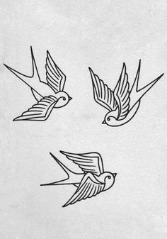 four birds are flying in the air together