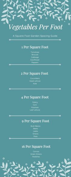 the menu for vegetables per foot, including two square foot and four square foot with leaves on