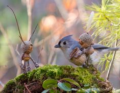 two small birds sitting on top of moss covered ground next to pine cones and needles