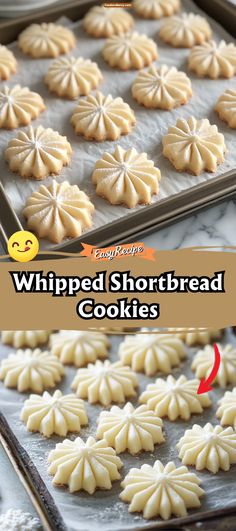 Whipped Shortbread Cookies Butter Dreams Cookies, Easy Palmier Cookies, Taste Of Home Whipped Shortbread Cookies, Shortbread Cookies Whipped, Powdered Sugar Shortbread Cookies, Gf Whipped Shortbread Cookies, Best Whipped Shortbread Cookies, Lilikoi Shortbread Cookies, Cookie Shooter Recipes