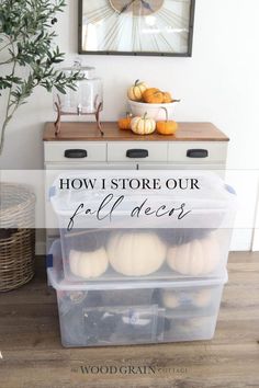 an image of a kitchen with pumpkins in plastic containers on the counter and text overlay reading how i store our fall ideas