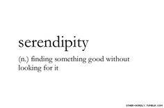 the words serendipity are written in black and white on a white background