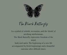 a black butterfly with the words'the black butterfly'written in white on it