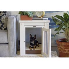 a small dog is sitting in an open door on the floor next to a couch