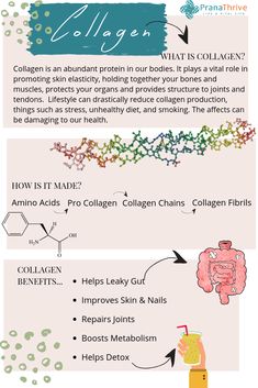 Collagen & Cacao Latte (Gut Healing + Mood Boosting) | pranathrive.com Cacao Latte, Nail Memes, Ancient Medicine, What Is Collagen, Heal Leaky Gut, Ayurveda Recipes, Plexus Worldwide, Health Myths, Thrive Experience