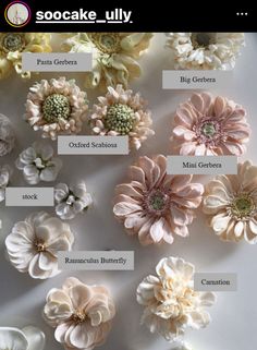 several different types of flowers are shown on a table with the names in english and spanish