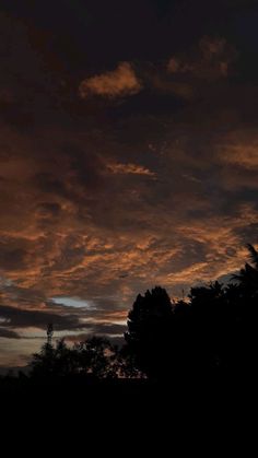 the sky is very dark and cloudy at night, with trees silhouetted against it