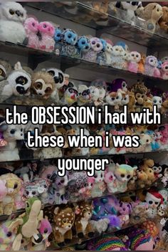 a shelf filled with lots of stuffed animals and the caption reads, the obesson i had with these when i was younger