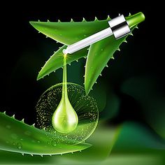 a close up of a green leaf with a drop of oil on it and a pen