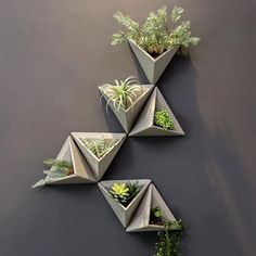 three cement planters with succulents and plants in them on a wall