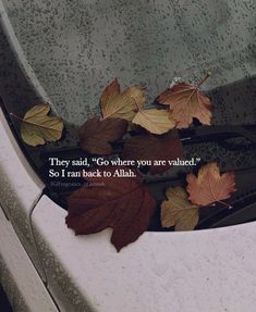 leaves on the hood of a car with a quote written in it that says they said, go where you are value so i ran back to allah