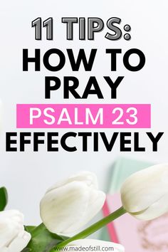 Praying the 23rd Psalm The 23rd Psalm, Prayer For Our Country, 23rd Psalm, Psalm 91 Prayer, Psalms 23, Prayer Stations, Prayer Points, Bible Psalms, Personal Prayer