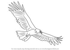 an eagle flying in the sky with its wings spread out and it is black and white