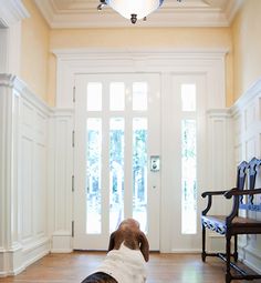 a dog sitting on the floor in front of a door