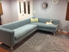 a living room with a blue couch and grey rug