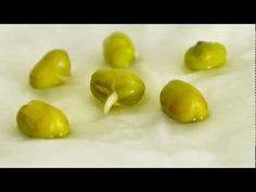 some green olives are on a white surface