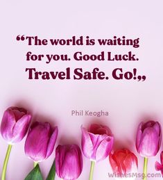 pink tulips with the words, the world is waiting for you good luck travel safe go