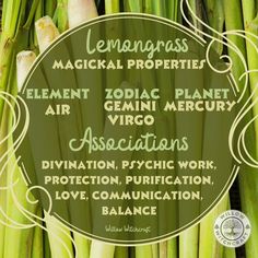 Lemon Grass Magical Properties, Lemongrass Witchcraft, Lemongrass Spiritual Meaning, Lemongrass Magical Properties, Lemongrass Meaning Witchcraft, White Willow Bark Magical Properties, Magical Properties Of Moss, Bamboo Magical Properties, Witchcraft Meaning