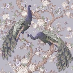 two peacocks are standing on the branches of a tree