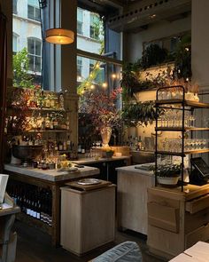 a room filled with lots of potted plants and wine bottles on shelves next to windows