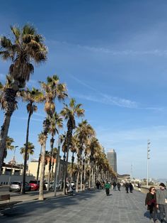 people walking down the sidewalk next to palm trees on a sunny day with blue skies