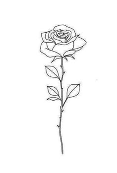 #simplerosetattoostencil #singlerosetattoostencil #rosetattoostencildesigns #realisticrosetattoostencil #rosewithstemtattoostencil #roseoutlinetattoohand
3 hand tattoo outline rose stencil stem with realistic designs single simple roses cost writing small ideas meaning on a get to how text apply transfer up set paper best the is what tattoos for diy me near Female Arm Tattoos Simple, Rose Tattoo Patchwork, Elegant Rose Tattoo, Simple Rose Tattoo Stencil, Patchwork Tattoo Stencil, Rose Patchwork Tattoo, Rose Tattoo Simple Outline, Rose Tattoo Ideas Female, 2 Roses Tattoo