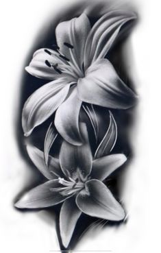 a black and white photo of some flowers on a piece of paper with watermarking