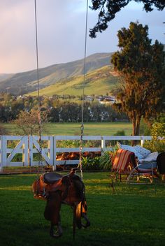 Horse Pasture In Front Of House, Farmhouse Interior Aesthetic, Rancher Life, Homesteading Family, Ranch Living, Dream Farm, Horse Farms, Western Decor, The Grass