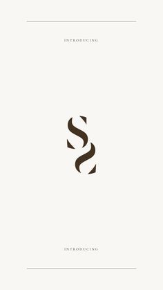 the letter s is made up of curved lines