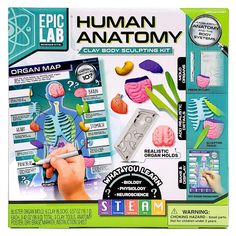 the science lab human anatomy set includes an organ model, brain map and stickers