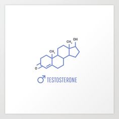 the structure of testosterone is shown in blue on a white background art print